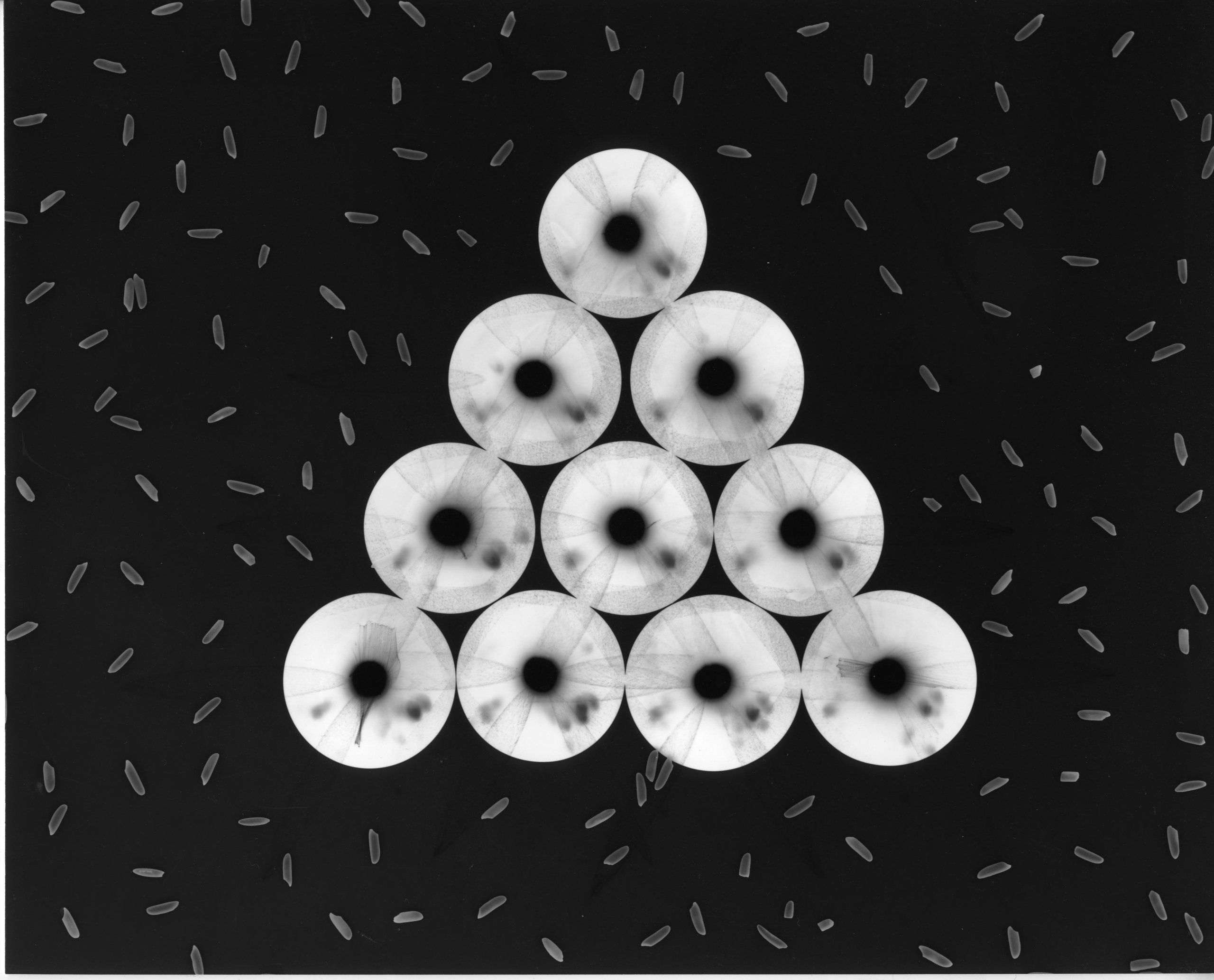 Photograms