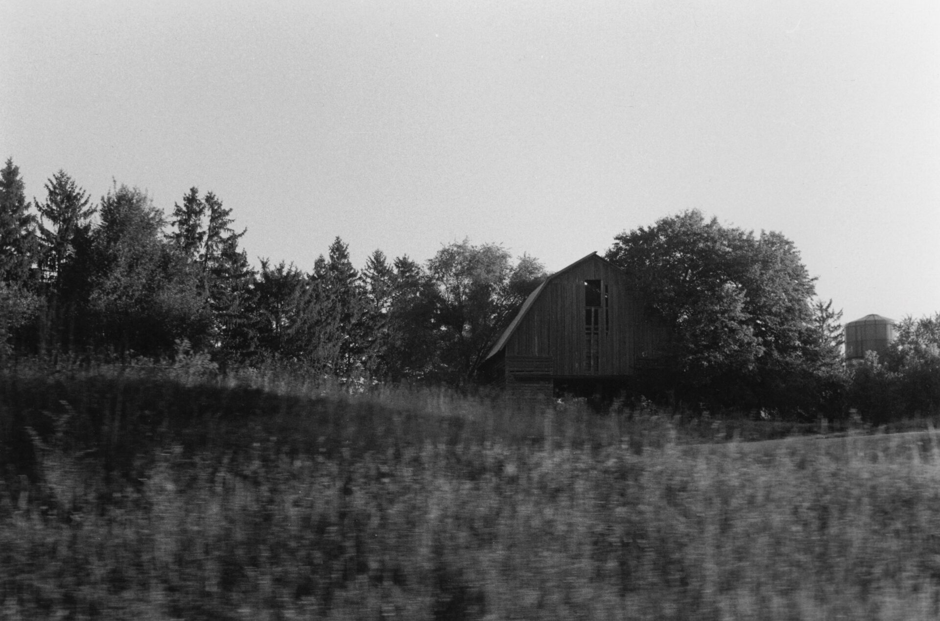 Film Photography